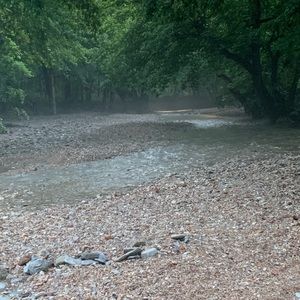 Meet your Posher, Rita